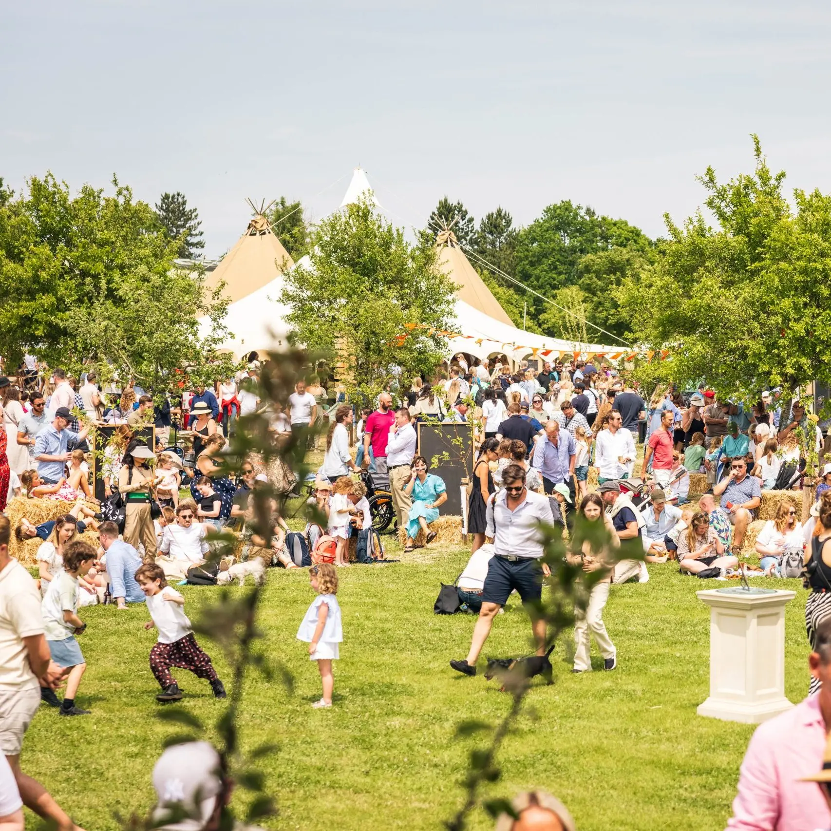 Festival crowd in green field