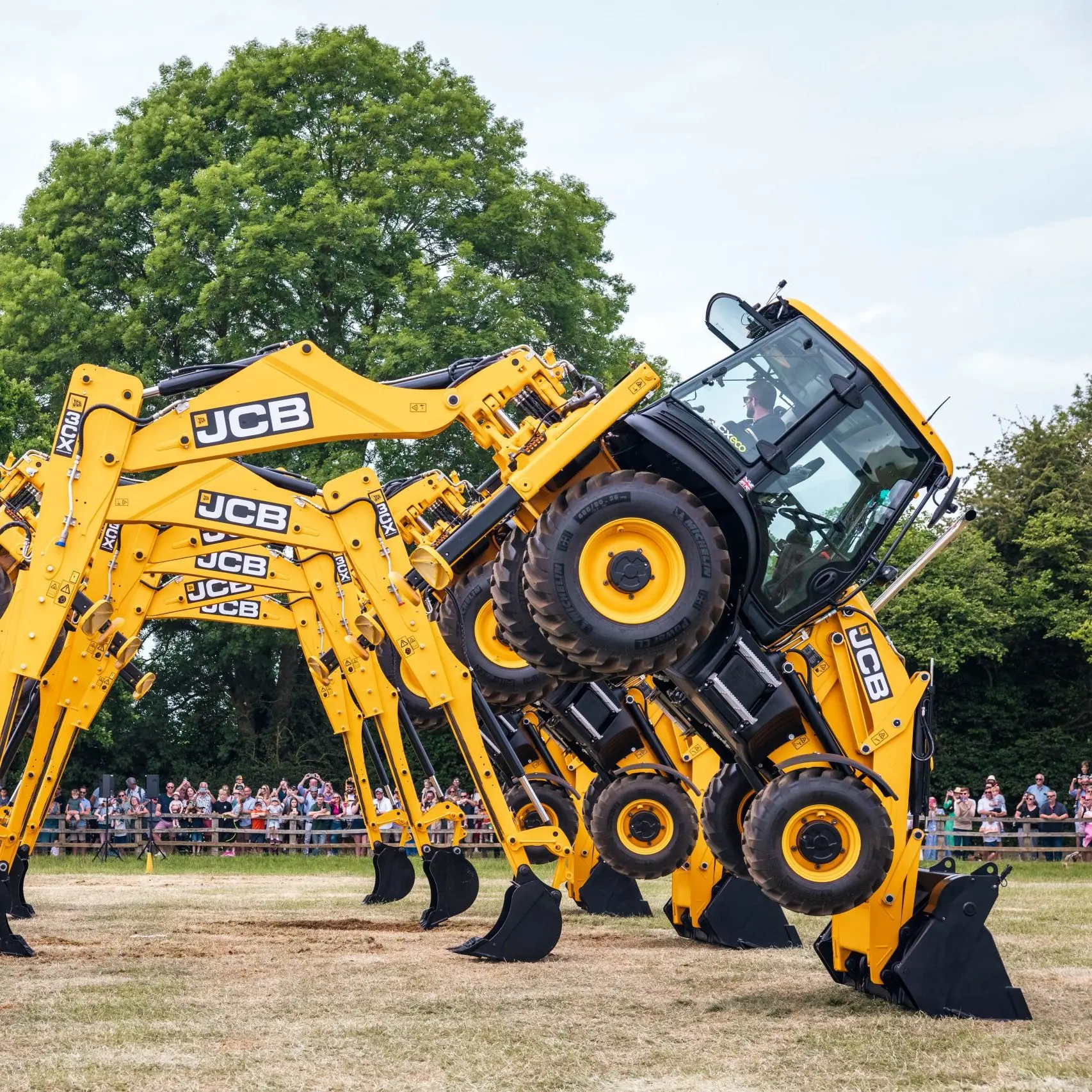 A line of yellow JCB diggers