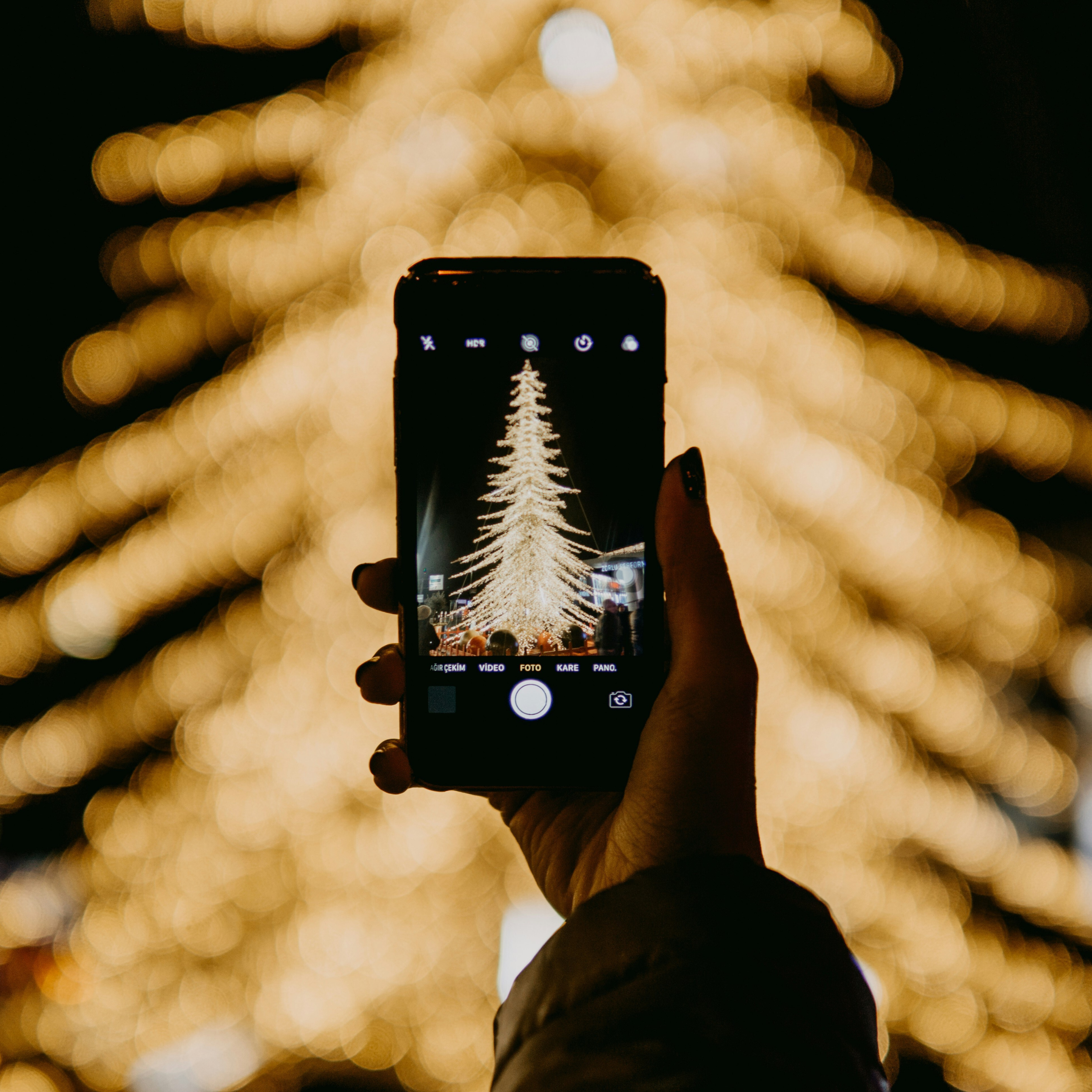 Photographing Christmas Tree